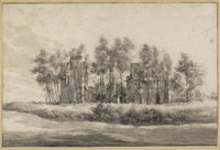 O++ 047
          <br/>
          Ruïne van kasteel Spangen (Schieland)
          <br/>
          <em>Roghman, Roelant (1627-1692)</em>